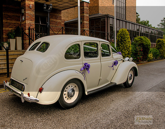 portraits and weddings